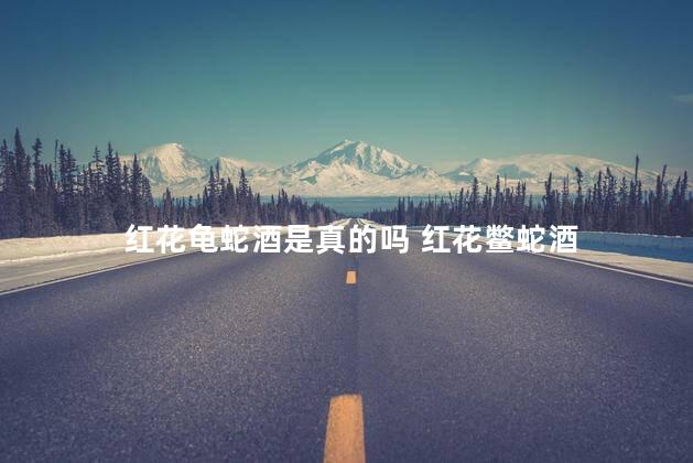 红花龟蛇酒是真的吗 红花鳖蛇酒